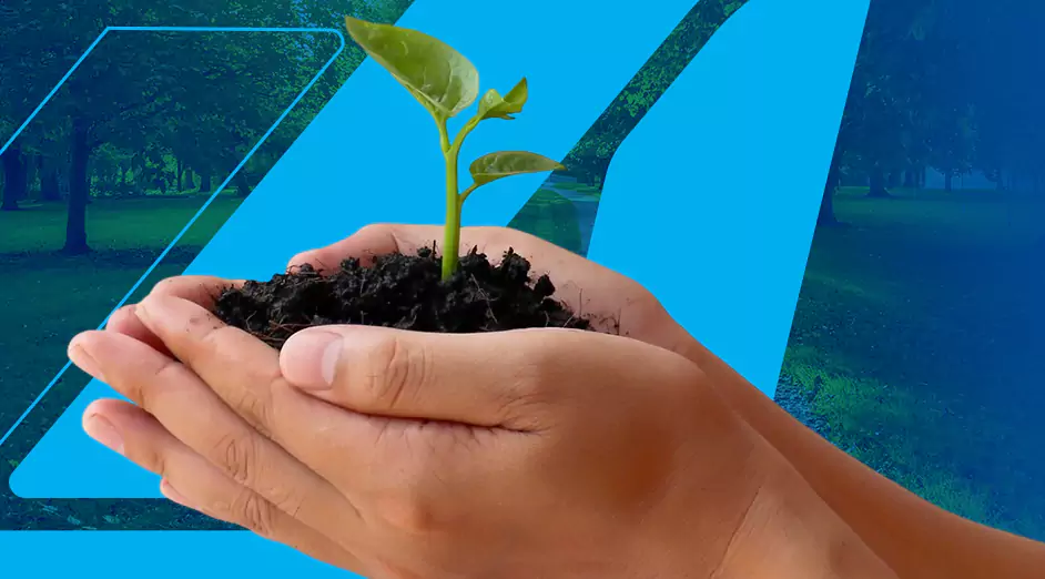 Na FLAP, crescemos com responsabilidade. Sustentabilidade, transparência e ficiência caminham com a gente.