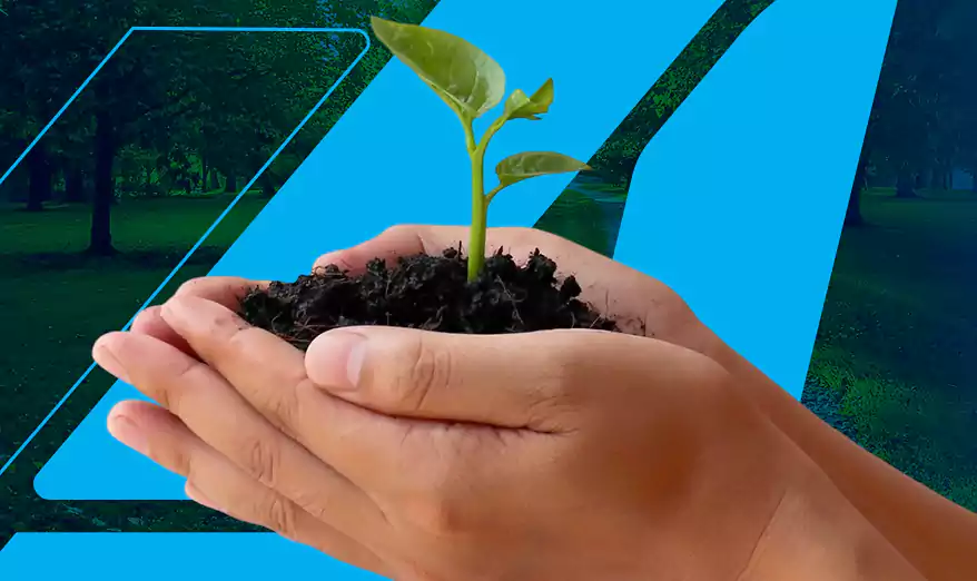 Na FLAP, crescemos com responsabilidade. Sustentabilidade, transparência e eficiência
caminham com a gente.